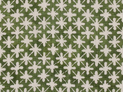 Sitaron Fern