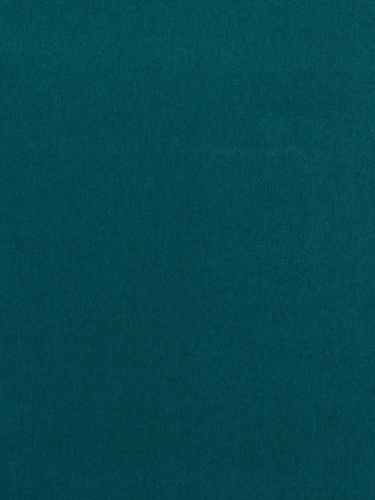 Bacan Mediterranea