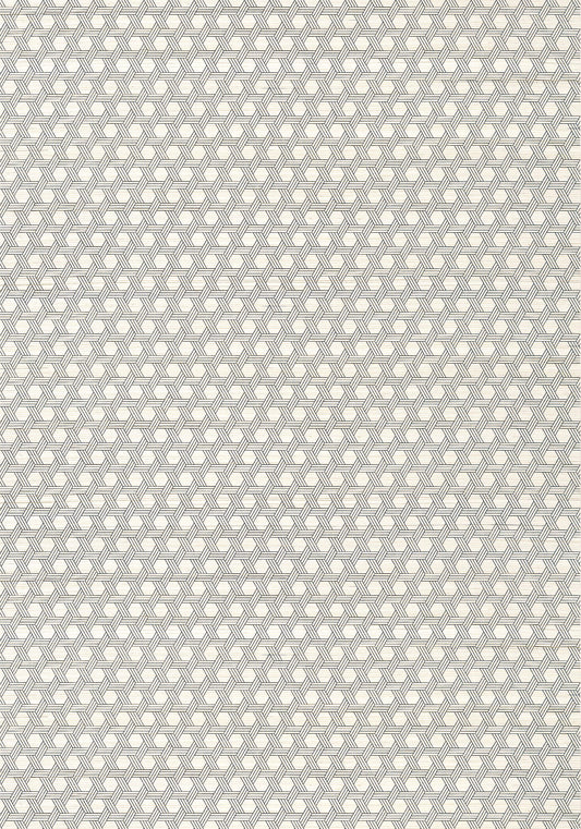 Modern Resource 3 Pergola Wallpaper