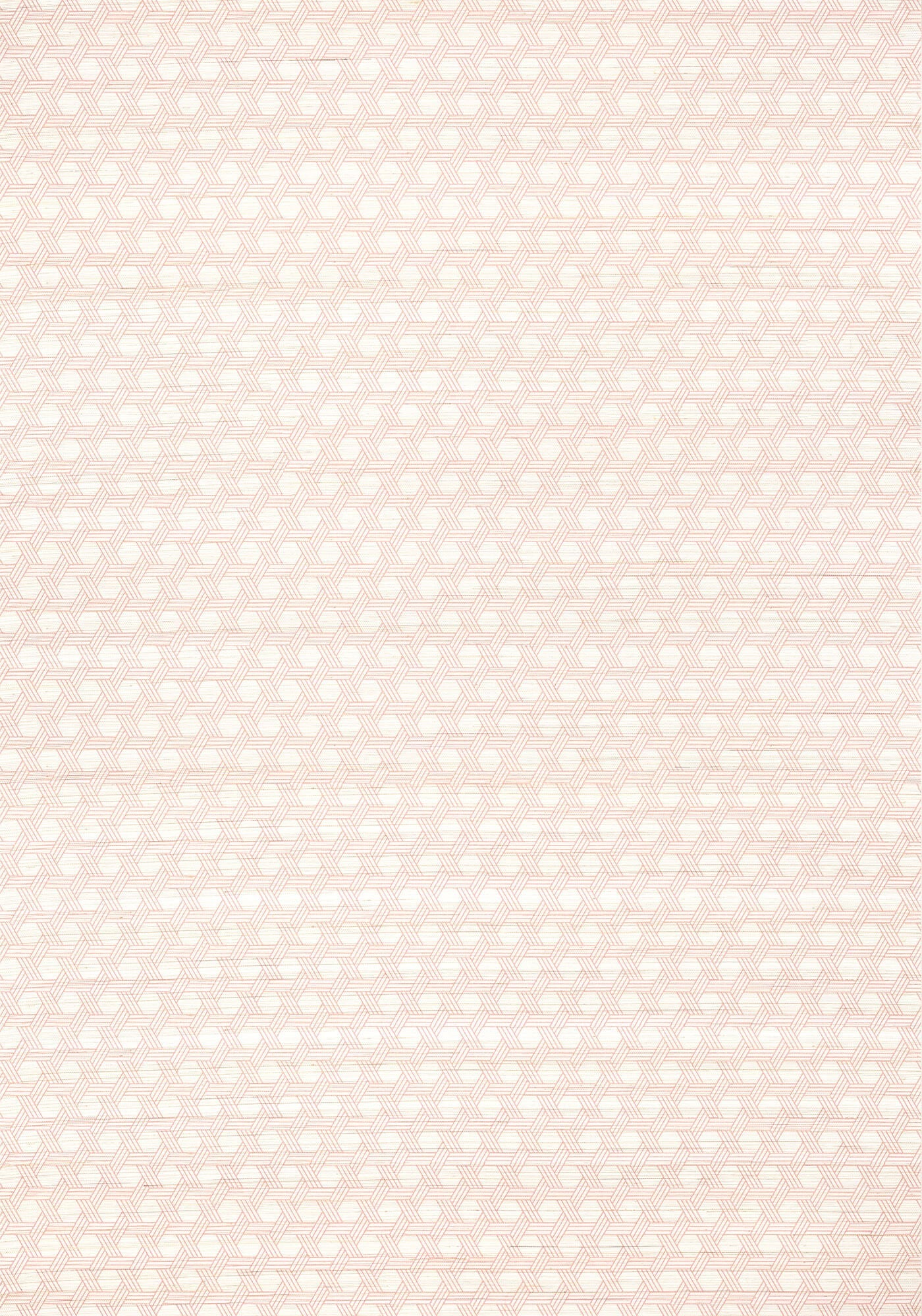 Modern Resource 3 Pergola Wallpaper