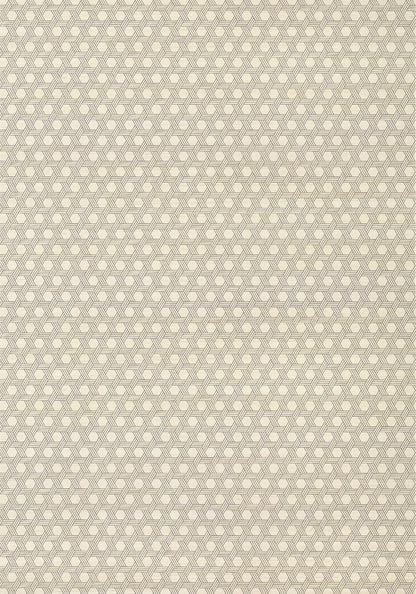 Modern Resource 3 Pergola Wallpaper
