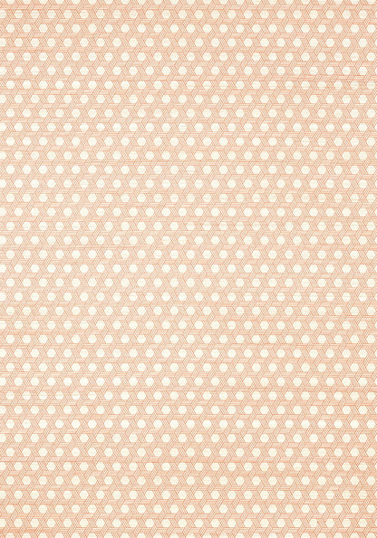 Modern Resource 3 Pergola Wallpaper