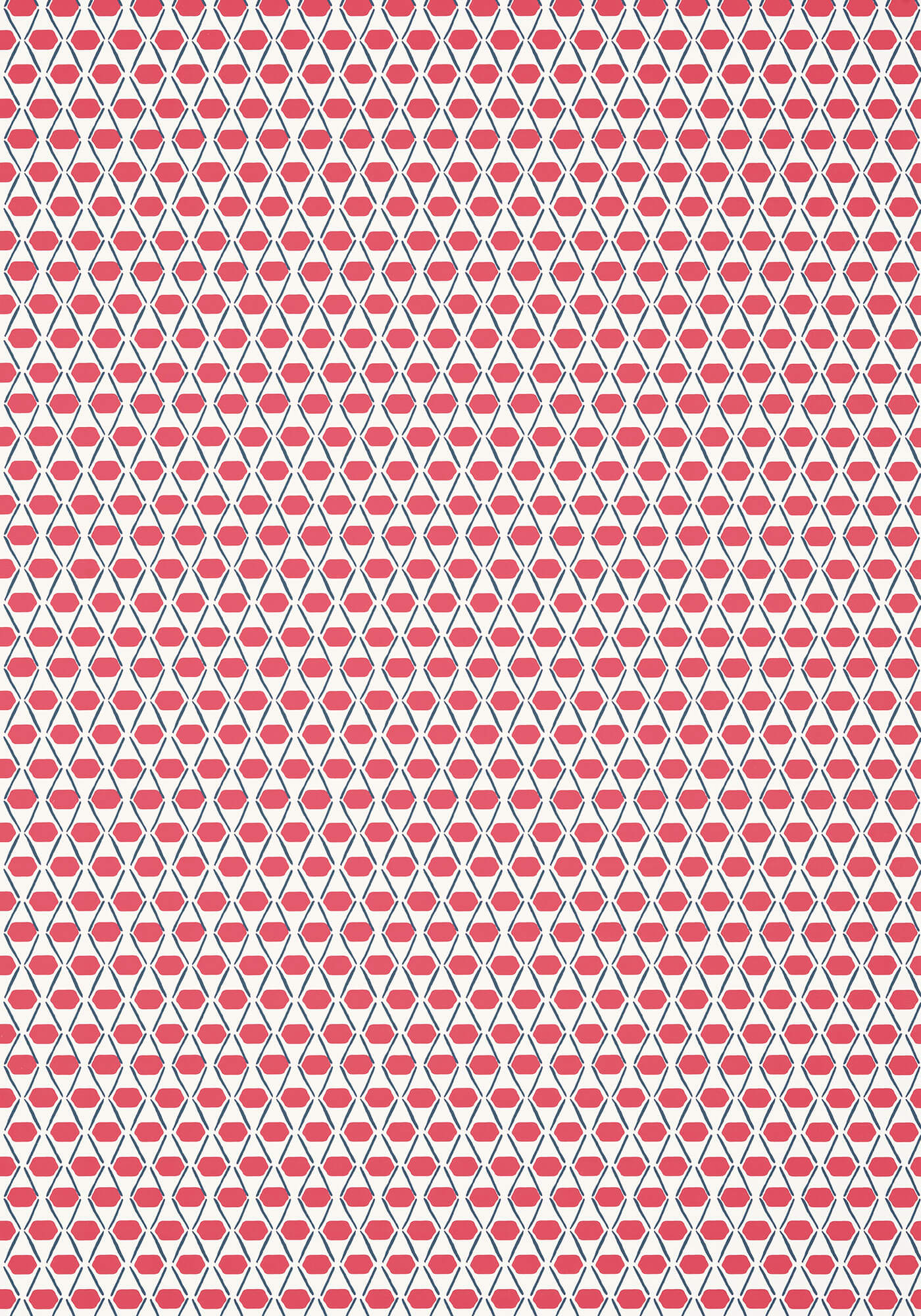 Canopy Denver Wallpaper