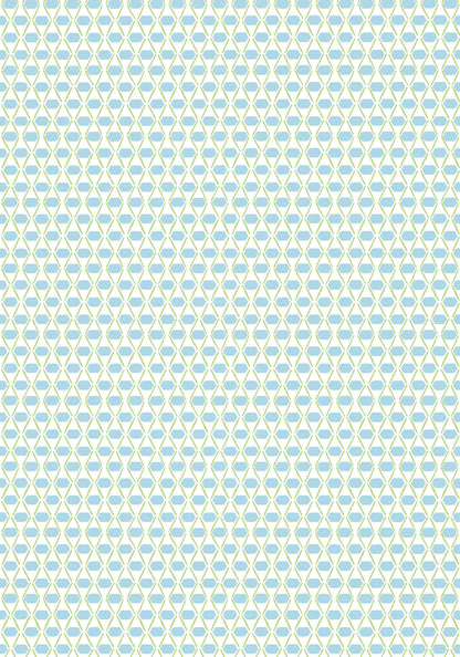 Canopy Denver Wallpaper