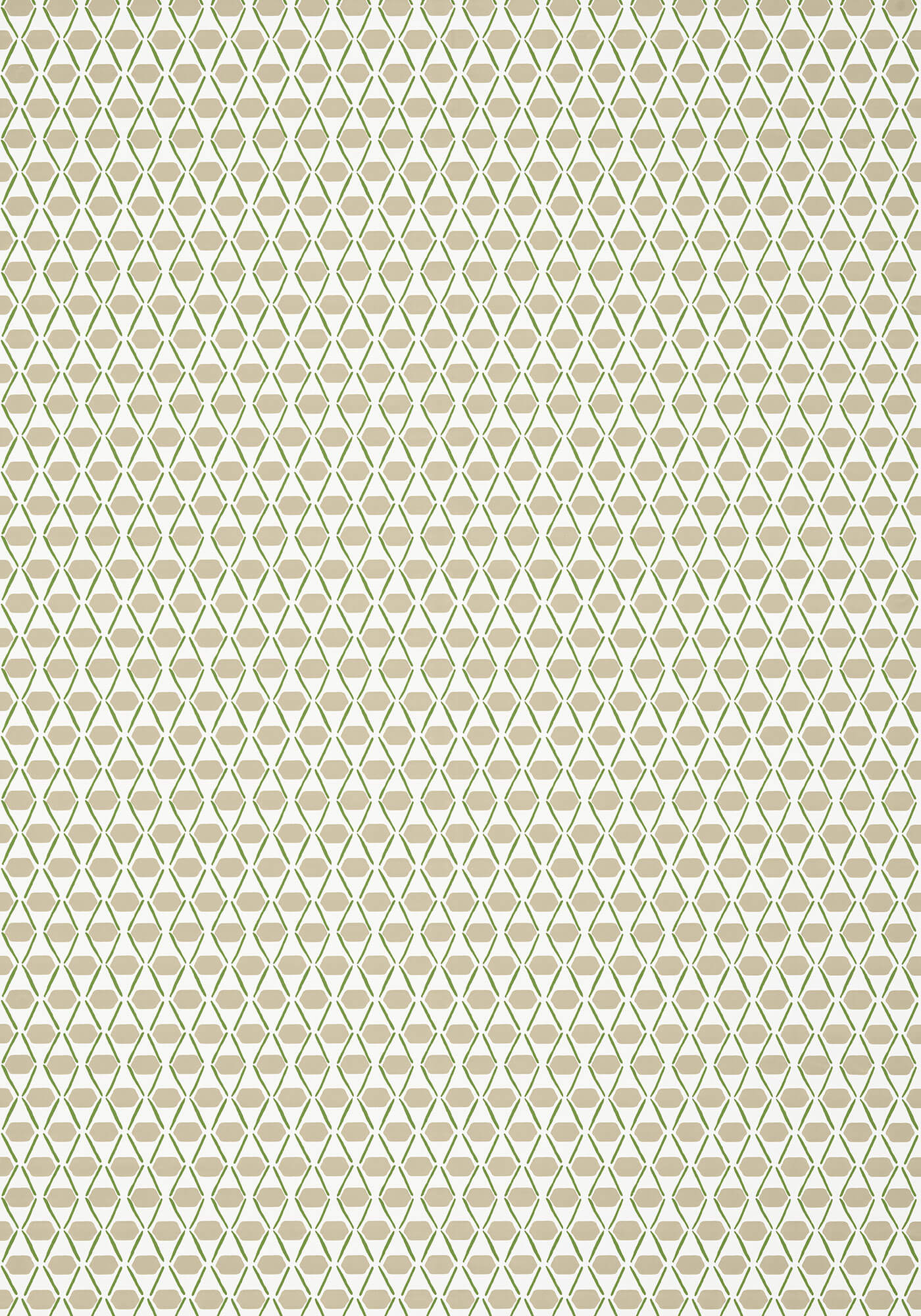 Canopy Denver Wallpaper