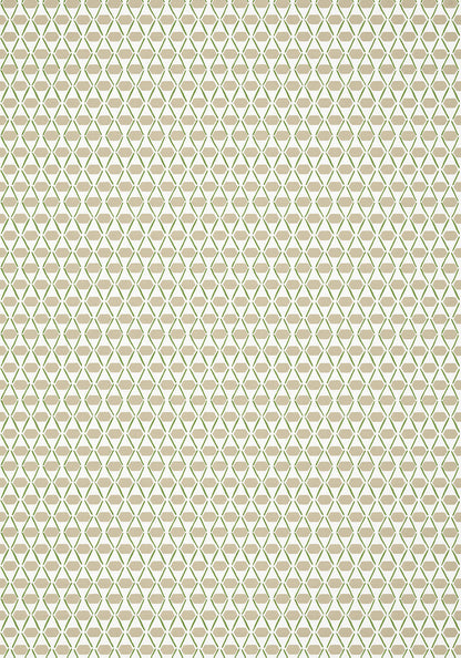 Canopy Denver Wallpaper