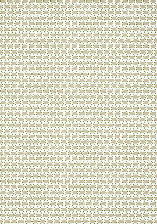 Canopy Denver Wallpaper