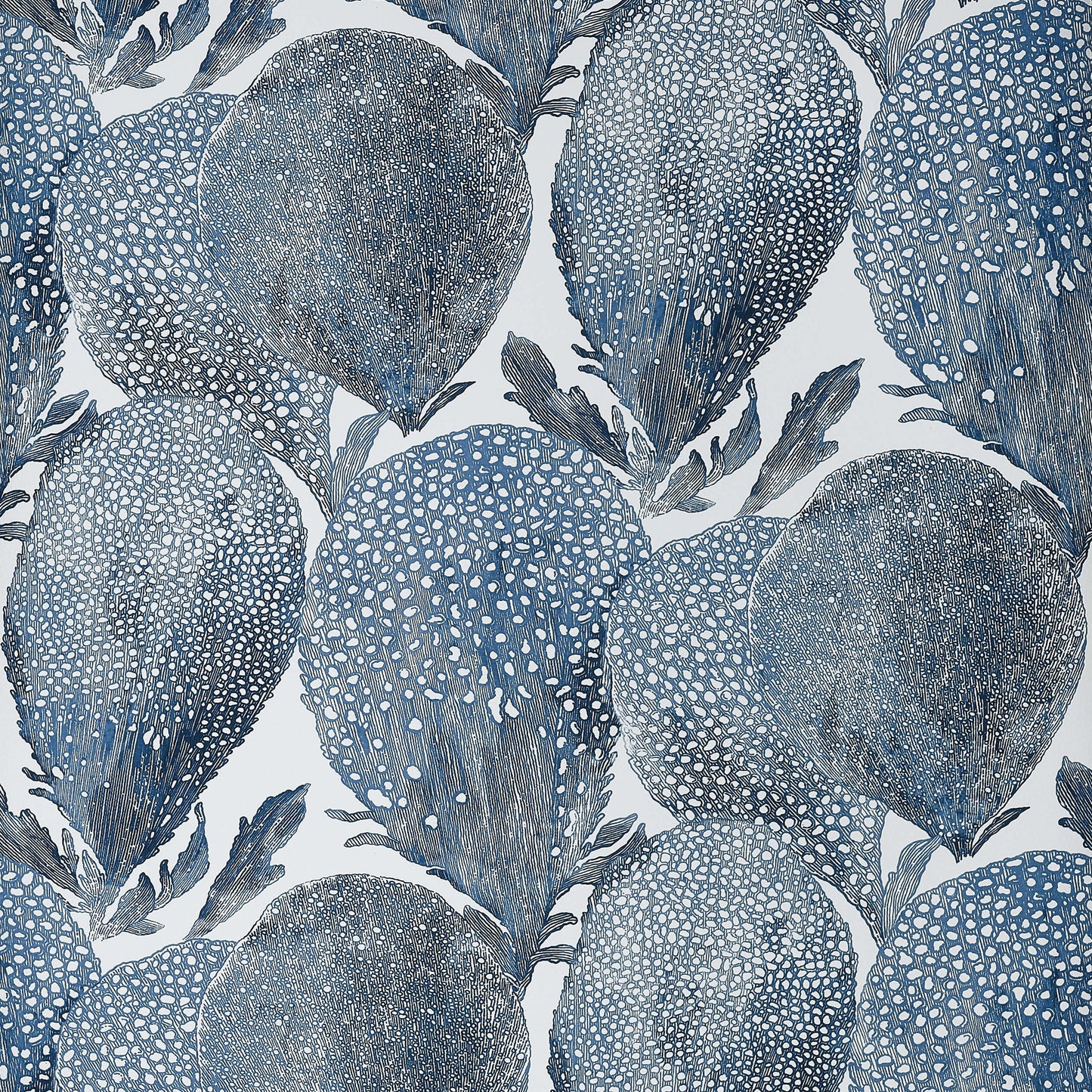 Islander Under The Sea Wallpaper