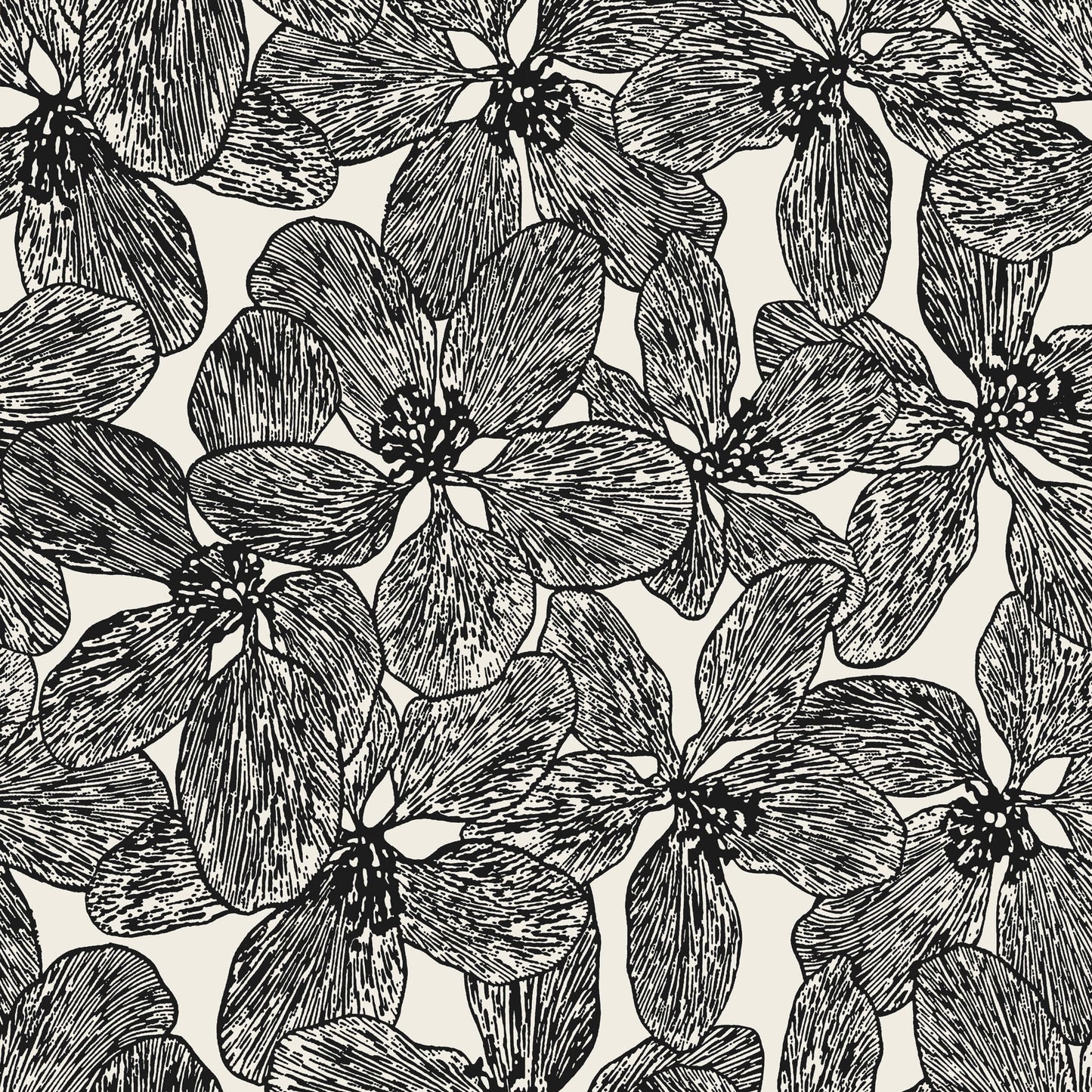 Islander Island Orchid Wallpaper