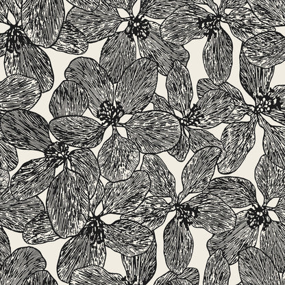 Islander Island Orchid Wallpaper