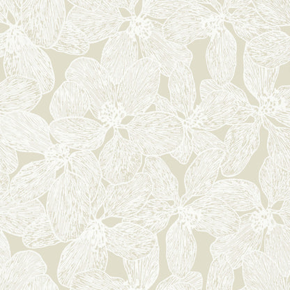 Islander Island Orchid Wallpaper