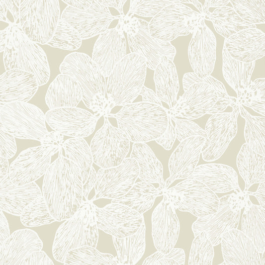 Islander Island Orchid Wallpaper