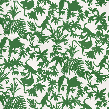 Islander St. Kitts Wallpaper
