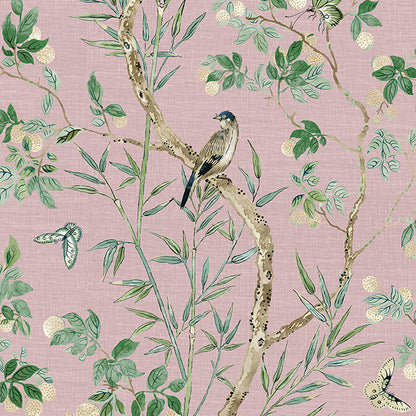 Sojourn Claire Wallpaper