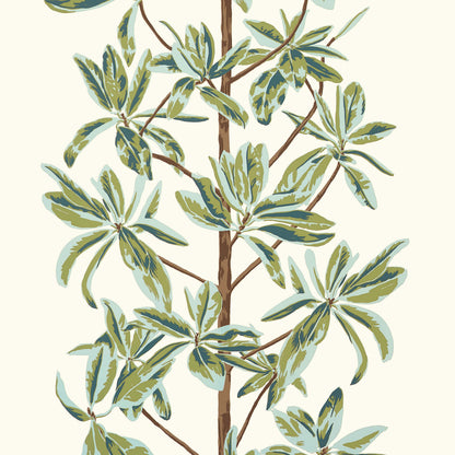 Wanderlust Mangrove Tree Wallpaper