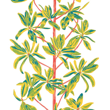 Wanderlust Mangrove Tree Wallpaper