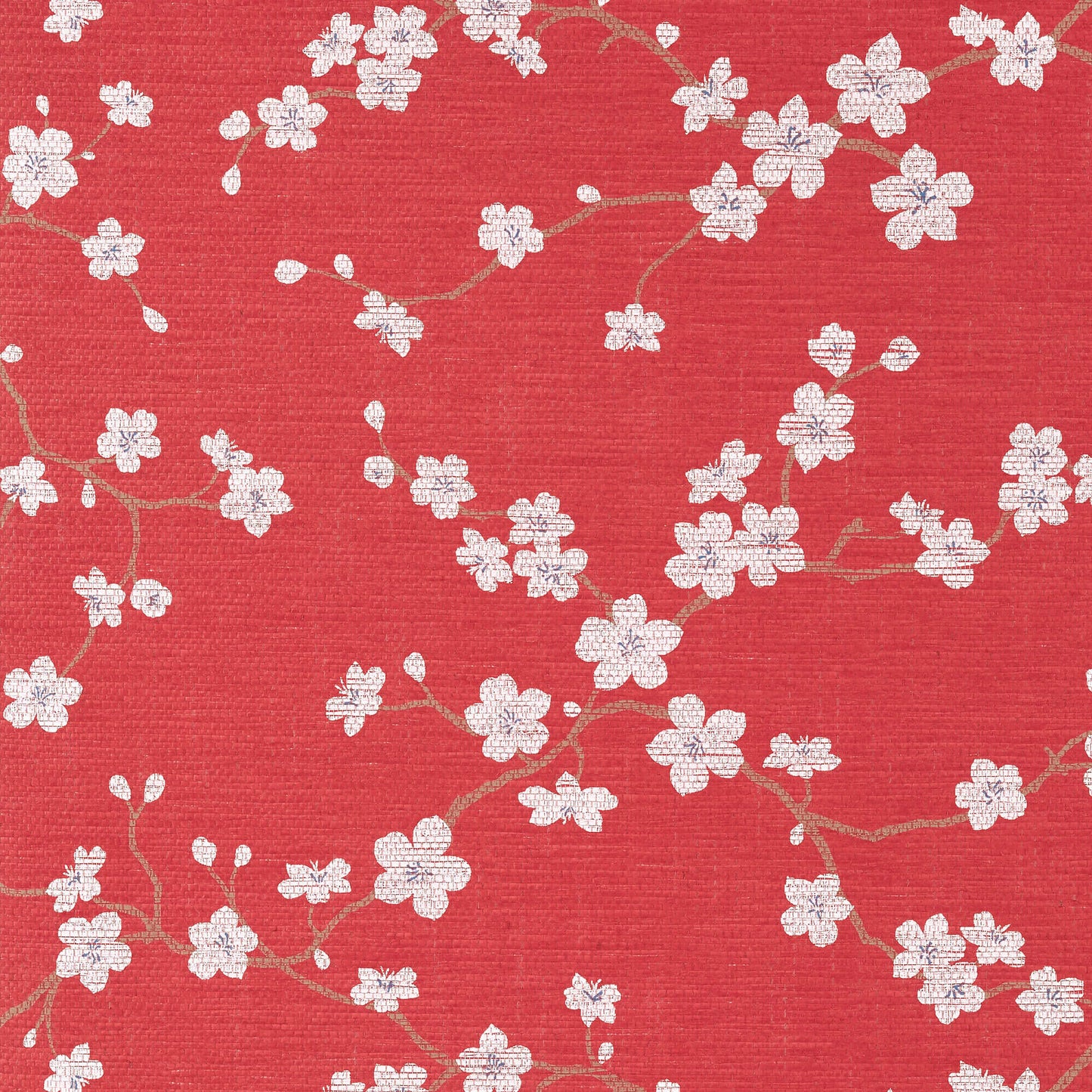 Dynasty Sakura Wallpaper