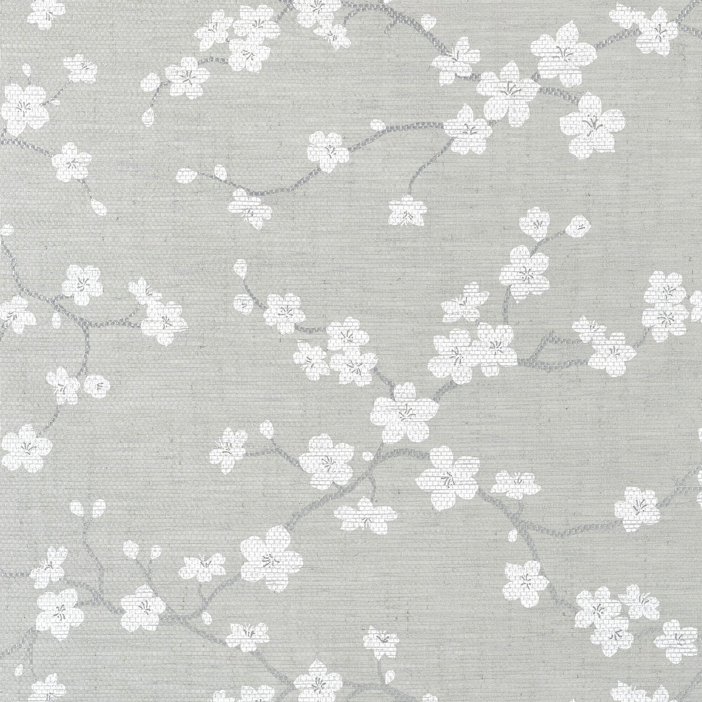 Dynasty Sakura Wallpaper
