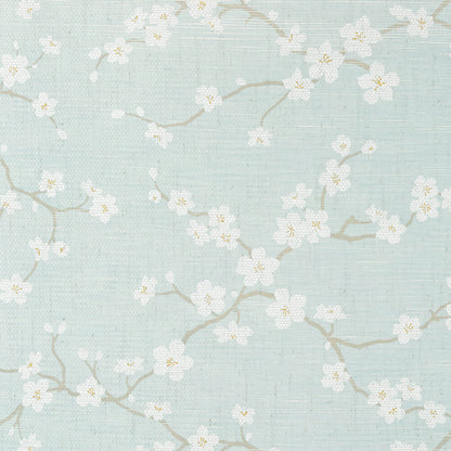 Dynasty Sakura Wallpaper