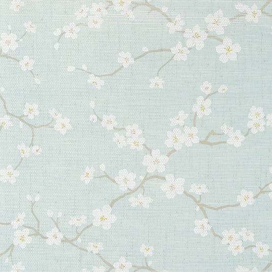 Dynasty Sakura Wallpaper