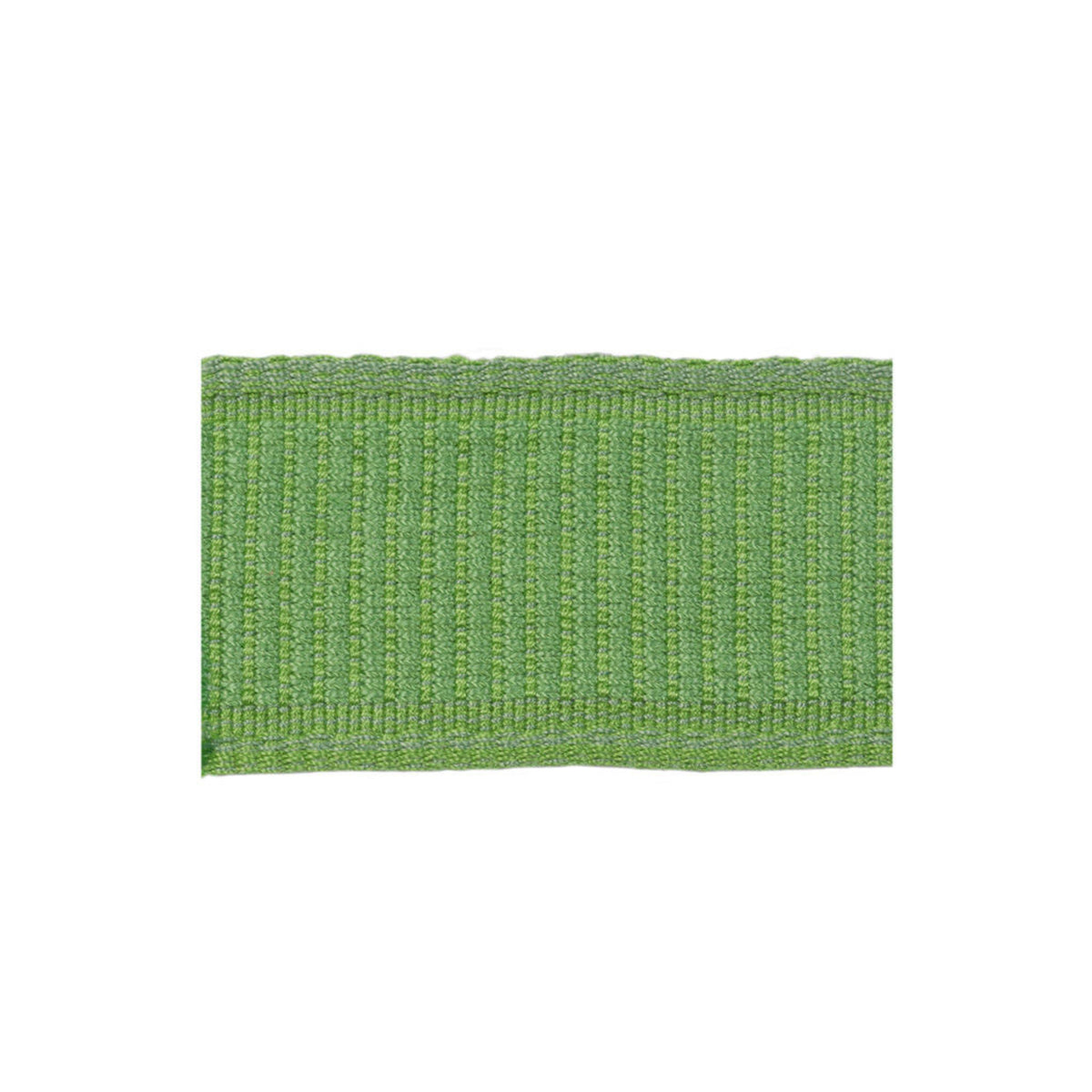 Coeur Band Trim by Brunschwig & Fils in Spring