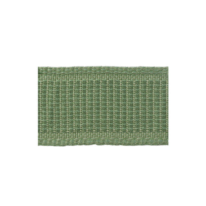 Coeur Band Trim by Brunschwig & Fils in Leaf