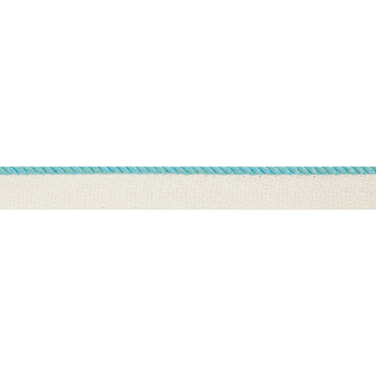 Acklins Cord Trim by Brunschwig & Fils in Aqua