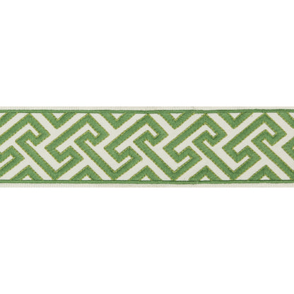 Sanchi Tape Trim by Brunschwig & Fils in Kiwi
