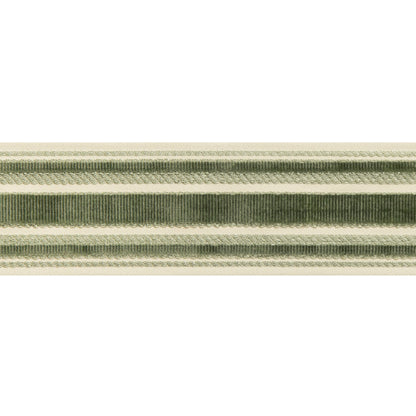 Canton Tape Trim by Brunschwig & Fils in Moss