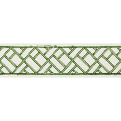 Torana Tape Trim by Brunschwig & Fils in Leaf