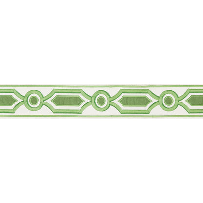 Ganden Tape Trim by Brunschwig & Fils in Green