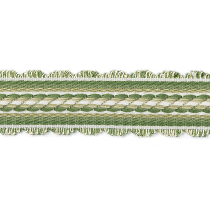 Jacqueline Braid Trim by Brunschwig & Fils in Leaf