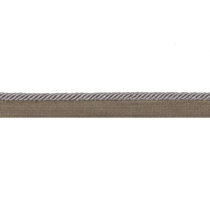 Picardy Cord Trim by Brunschwig & Fils in Silver