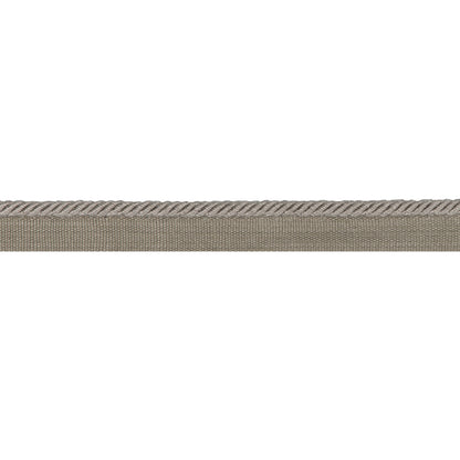 Picardy Cord Trim by Brunschwig & Fils in Steel