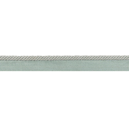 Picardy Cord Trim by Brunschwig & Fils in Mist