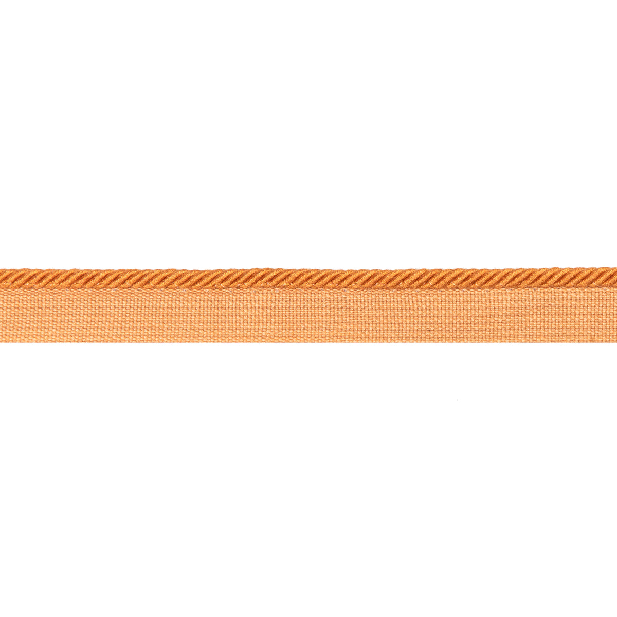 Picardy Cord Trim by Brunschwig & Fils in Saffron