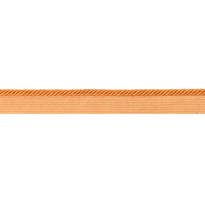 Picardy Cord Trim by Brunschwig & Fils in Saffron