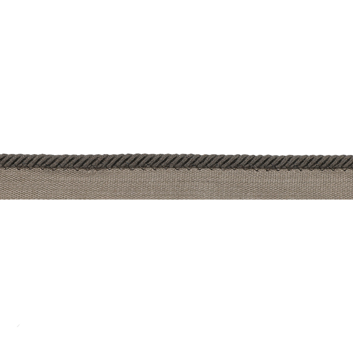 Picardy Cord Trim by Brunschwig & Fils in Charcoal