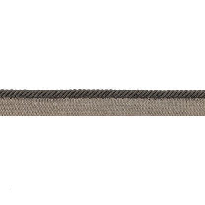 Picardy Cord Trim by Brunschwig & Fils in Charcoal