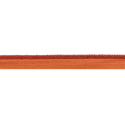 Picardy Cord Trim by Brunschwig & Fils in Cinnamon
