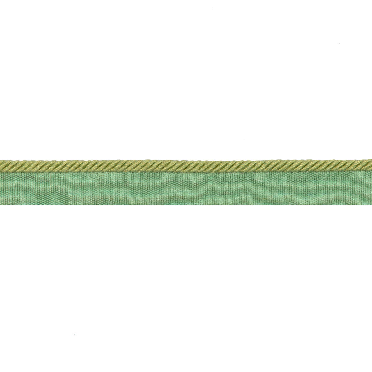 Picardy Cord Trim by Brunschwig & Fils in Leaf