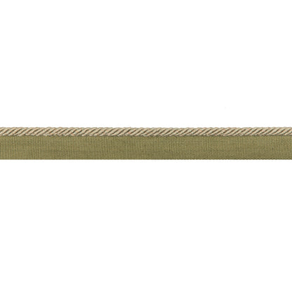 Picardy Cord Trim by Brunschwig & Fils in Olive