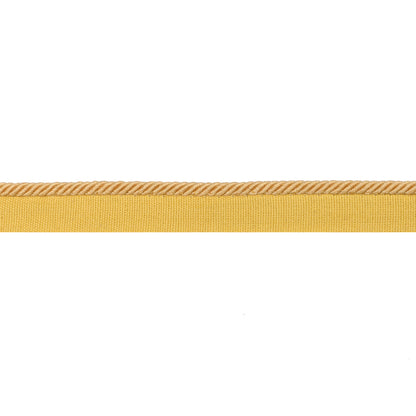 Picardy Cord Trim by Brunschwig & Fils in Gold