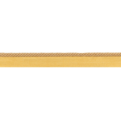 Picardy Cord Trim by Brunschwig & Fils in Yellow