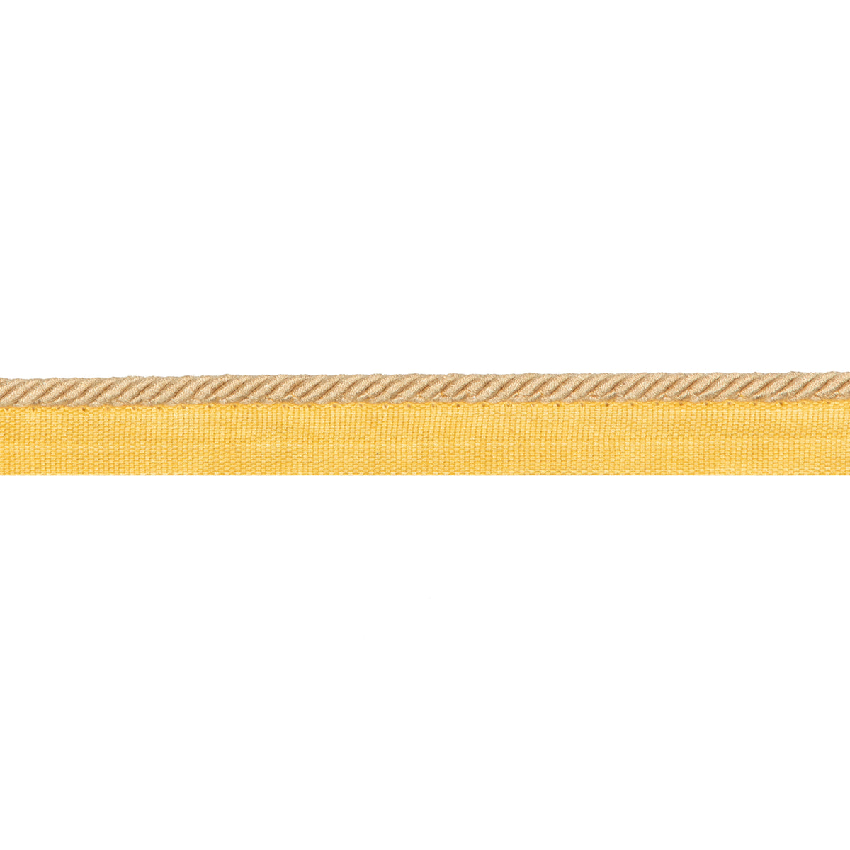 Picardy Cord Trim by Brunschwig & Fils in Canary