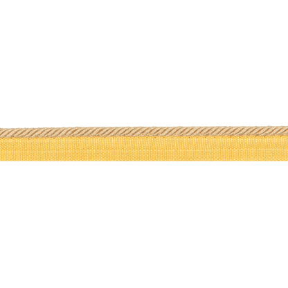 Picardy Cord Trim by Brunschwig & Fils in Canary