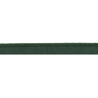 Picardy Cord Trim by Brunschwig & Fils in Emerald