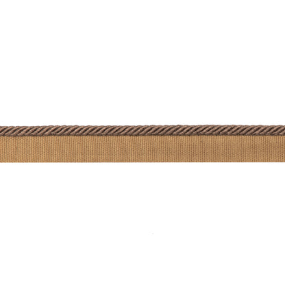Picardy Cord Trim by Brunschwig & Fils in Brandy