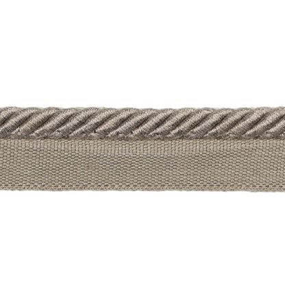 Barodet Cord Trim by Brunschwig & Fils in Steel