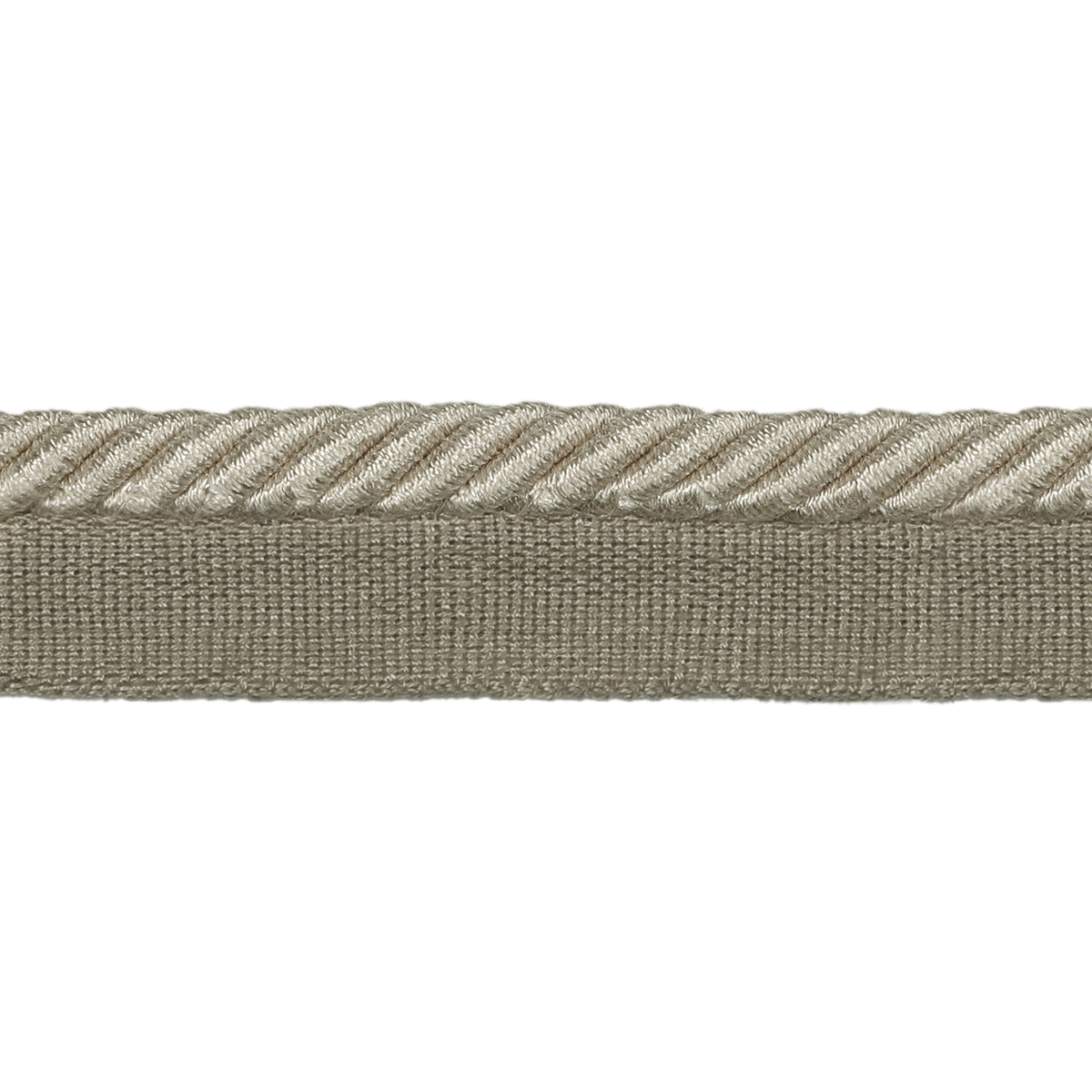Barodet Cord Trim by Brunschwig & Fils in Dove